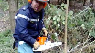 preview picture of video 'Cours pratique de tronçonnage dans le bois de Versoix'