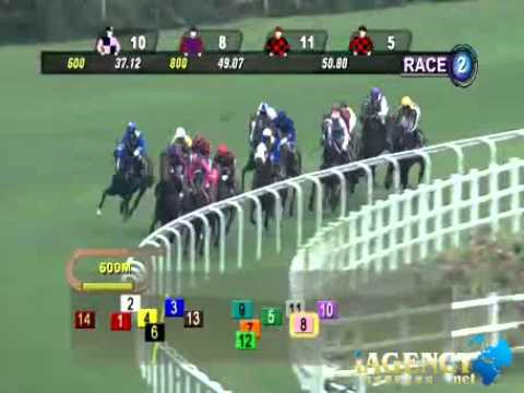 SINGAPORE RACE 27/10/2013 RACE 2 - iAgencyNet.com