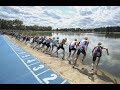 2021 World Triathlon Championship Finals Elite Men's Highlights