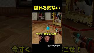 めっちゃカメレオンで変わった遊び方をする男達