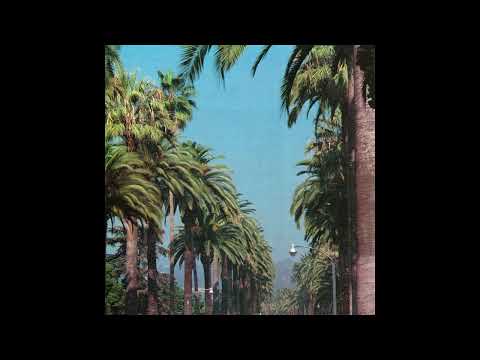 (FREE) Pop Punk x MGK x lil aaron Type Beat - Palm (Prod. JD Rome)