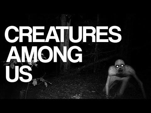 Strange Paranormal Creatures Among Us Caught on Tape Video