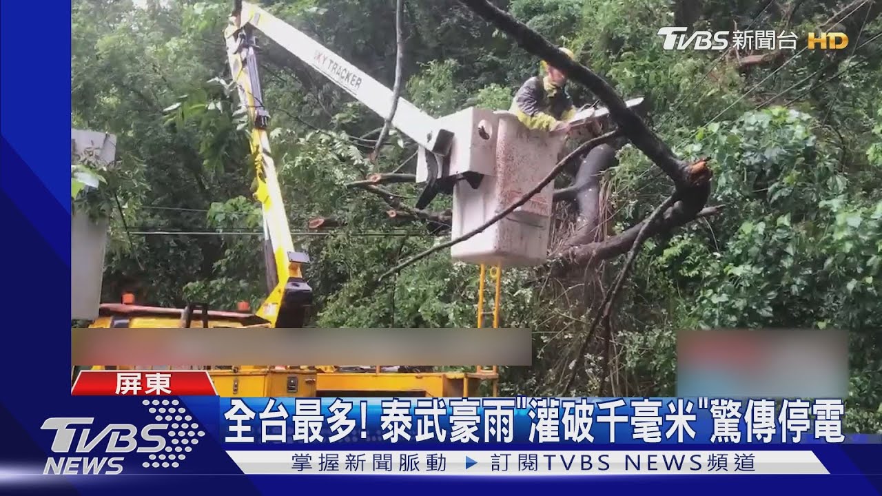 全台雨量之冠!屏東泰武36小時「狂灌破千毫米」 路樹慘倒塌