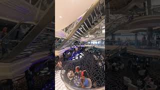 Comunque andare... in crociera anche solo per Capire ❤️ #Crociera #msccrociere