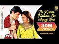 Tu Kaun Kahan Se Aayi Hai Full HD Video - Dil Pardesi Ho GayaKapil SaloniUdit Na