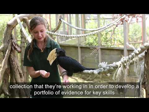 The Keeper's Course | The Zookeeper and Aquarist Apprenticeship