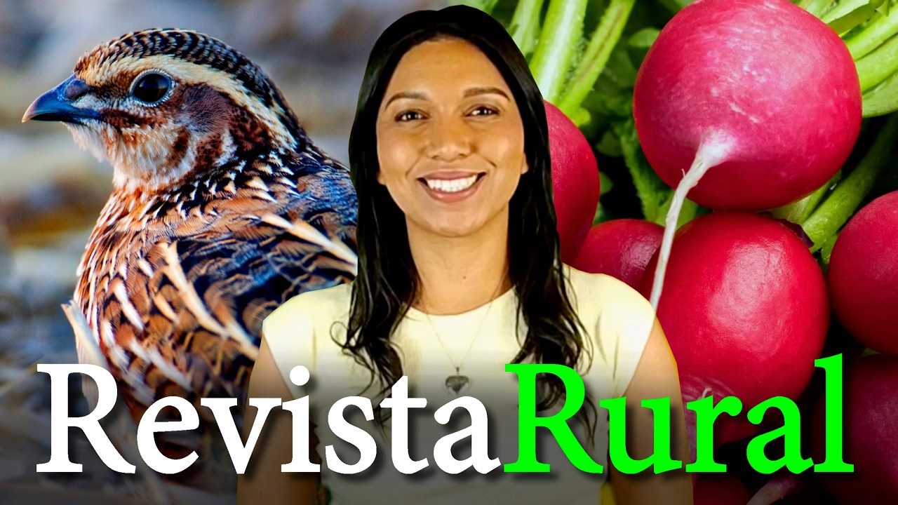 PROGRAMA REVISTA RURAL - 19/07/2026