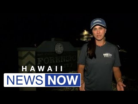 Maui News Obituaries 2023