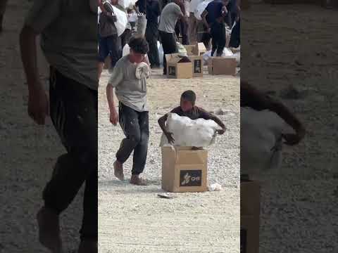 Young boy collecting aid in Gaza during hunger crisis
