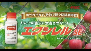 エクシレル®SE 2022年11月1日より、青森県でTVCMの放映開始！