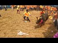கீழகொளத்தூர் காளியம்மன் கோவில் மாடு 