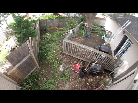 How to clear an overgrown backyard - TIMELAPSE