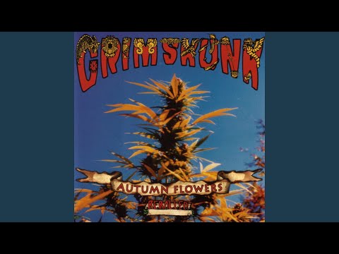 The Entire Original Autumn Flowers