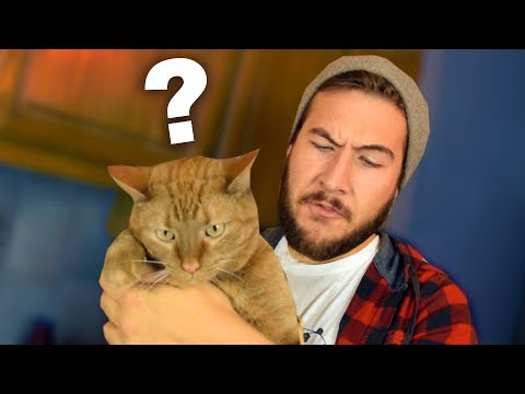 The First Guy To Ever Own A Cat