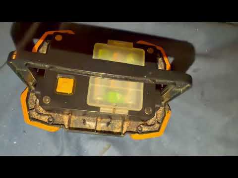 Spotlight Full of Bed Bugs in Montclair, NJ