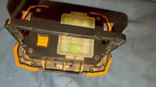 Watch video: Spotlight Full of Bed Bugs in Montclair, NJ