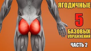 ЯГОДИЧНЫЕ МЫШЦЫ. 5 БАЗОВЫХ УПРАЖНЕНИЙ + ОШИБКИ УБИВАЮЩИЕ ПРОГРЕСС / ЧАСТЬ 2