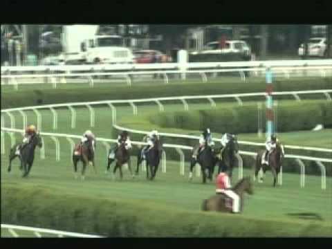 Thoroughbred Week (August 24 2013)