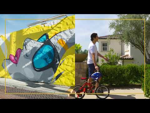 Constructor Videos 1 De 1