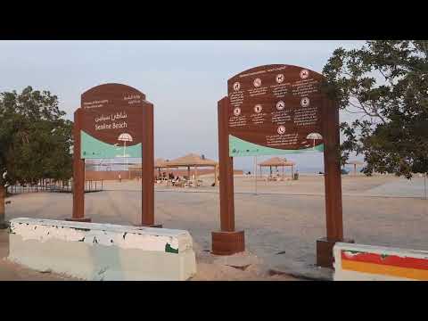 Sealine Beach |Mesaieed | Doha Qatar 🇶🇦