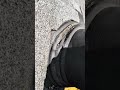 YouTube Thumbnail YouTube Thumbnail