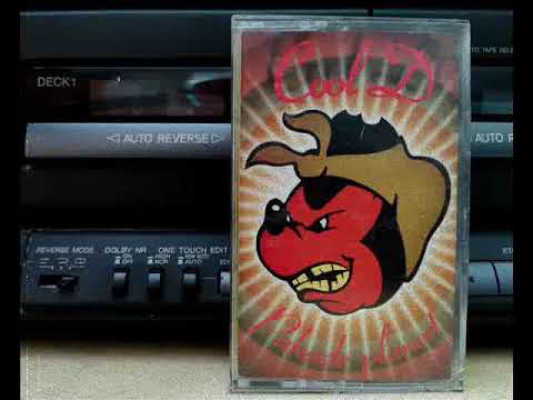 Cool D - Mr. Minister [1999]