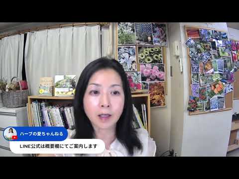 医療ビジネス薬科学科 重大発表！NHK教育テレビ（Eテレ）「あしたも晴れ！人生レシピ」に出演します🌿
