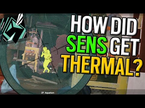 SENS HAS A THERMAL SCOPE???