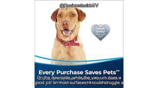 Bissell MultiClean Pet Vacuum Review: Is It the Best for Pet Hair and Allergies?