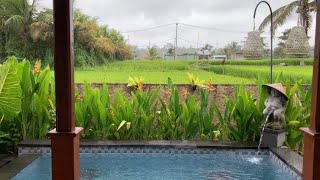 Villa private pool di tengah sawah Ubud Sebatu Bali, Barong Bali Villa