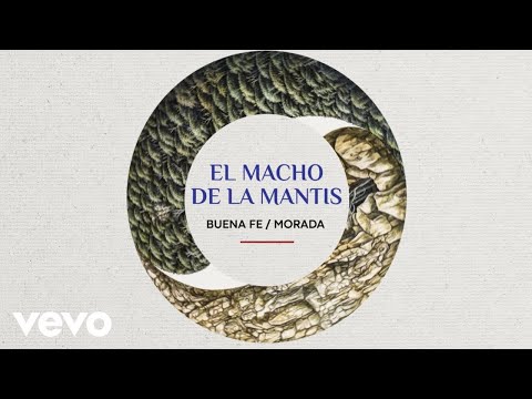 Buena Fe - EL Macho de la Mantis