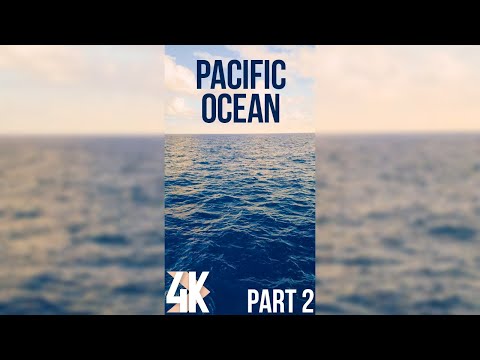 Relaxing Waves for Deep Sleep - Vertical Screen Video - 4K Echoes of the Pacific Ocean - Episode 2