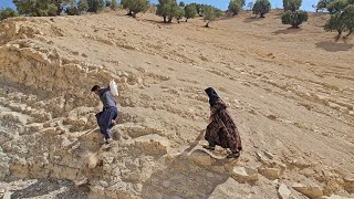 Love in the Mountains and Valleys: Babak & Narges’ Adventure to Find Wild Mountain Honey! 🍯❤️