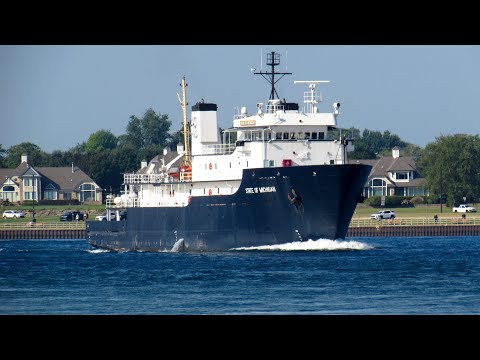 Michigan Ts