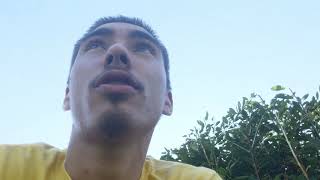 Cemetery Reflextions: Questions