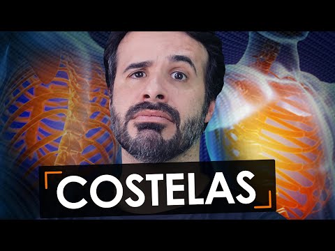 BEFORE STUDYING ABOUT RIBS, IT IS ESSENTIAL THAT YOU WATCH THIS VIDEO: