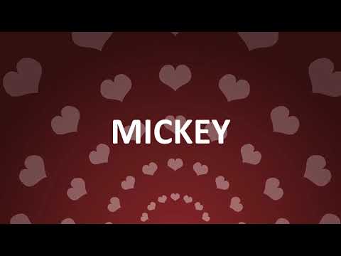 HAPPY BIRTHDAY MICKEY