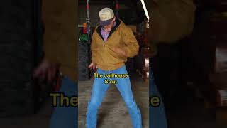 ELVIS DANCE MOVES TO LEARN 🕺🏼🙌🏻 #dance #elvispresley #farm