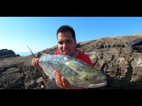 Topwater lure fishing - Leerfish 6kg (Leccia Amia) Lica