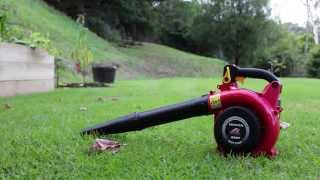 Honda HHB25 25cc 4-Stroke Leaf Blower Cold Start, Sound and Use