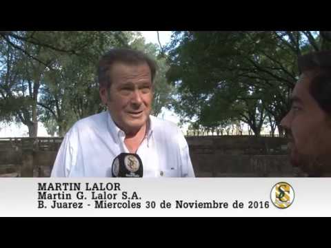 30-11-16 Nota Martin Lalor - Martin G. Lalor S.A. - B. Juarez.