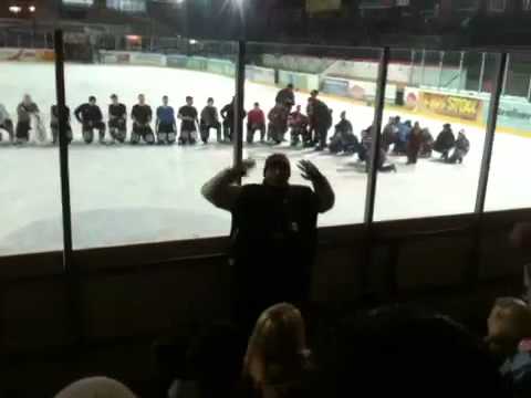 Eishockey Deggendorf Fire