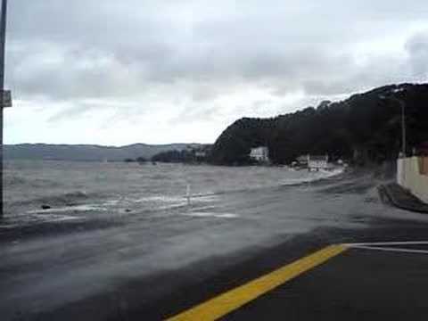 Lowry Bay and the southerly