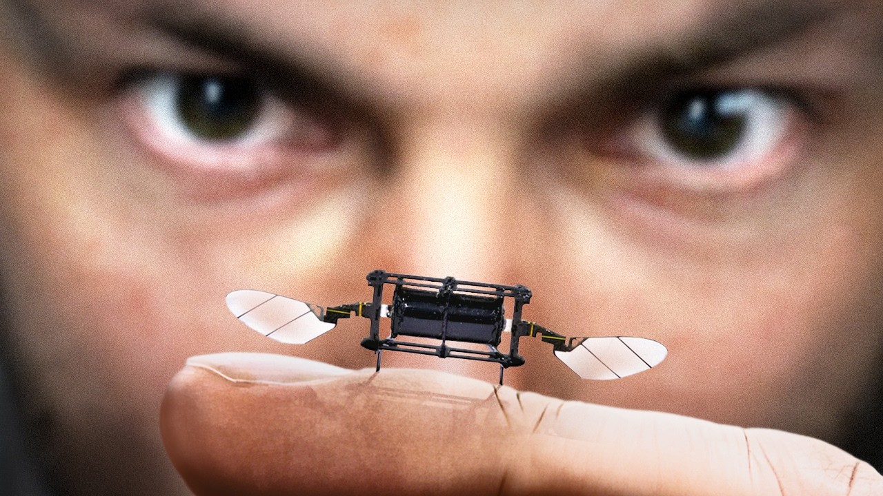 Why is MIT making robot insects? Why is MIT making robot insects?