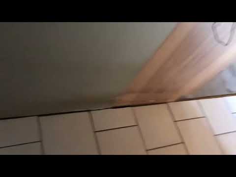 Paris Hilton birthday celebration video