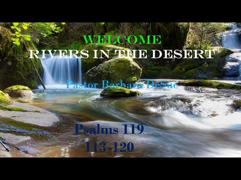 Psalms 119 113-120