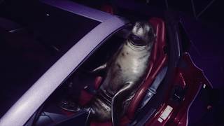 Cover art for i love seals