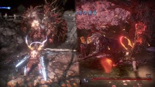 [Nioh 2] Yokai Shift field test 2