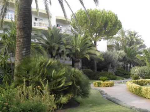 Videos del Iberostar Selection Albufera Park 4★ en Playa de Muro, España
Ver Más
Ver
Precios
15
Cerrar
Consulta por Whatsapp 🇦🇷
Booking
Tripadvisor
Expedia
Agoda
Travelocity
Orbitz
Trip
Skyscanner
Despegar
Kayak
Hoteles
Destinia
Trivago
Lastminute
Tui