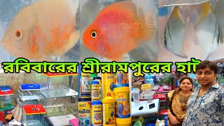রবিবারের রঙিন মাছের হাট শ্রীরামপুর | Aquarium Fish Serampore Haat | Aquarium Fish Accessories